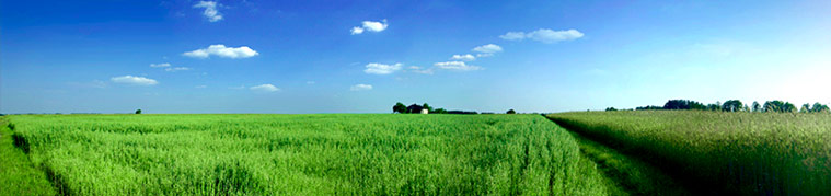 banner_agriculture
